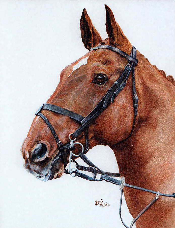Horse Painting - Cob by David McEwen
