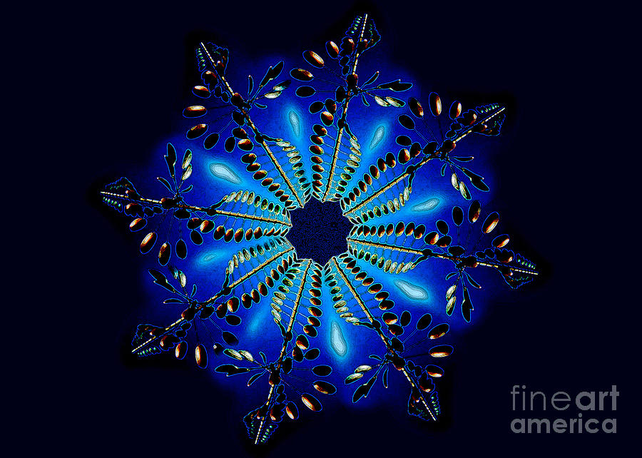 Cobalt Blue Tech Snow Flake 2 Photograph by Andee Design