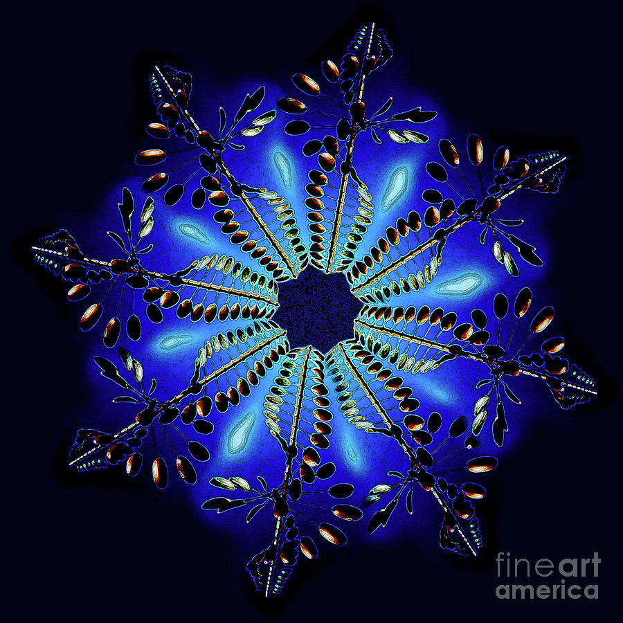 Cobalt Blue Tech Snow Flake Digital Art by Andee Design