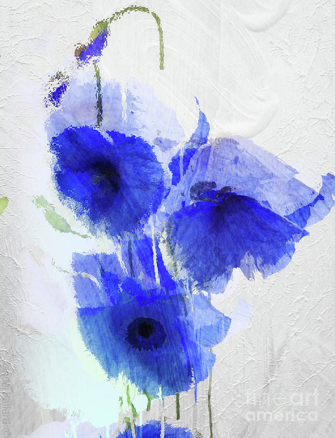 Cobalt Poppies Painting by Mindy Sommers