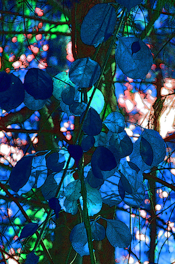 Cobalt Vines Photograph by Gaye Iverson