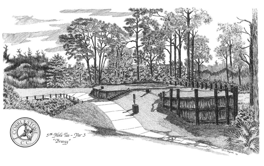 Cobblestone Country Club - 5th Hole Tee Box Drawing by Lawrence Tripoli