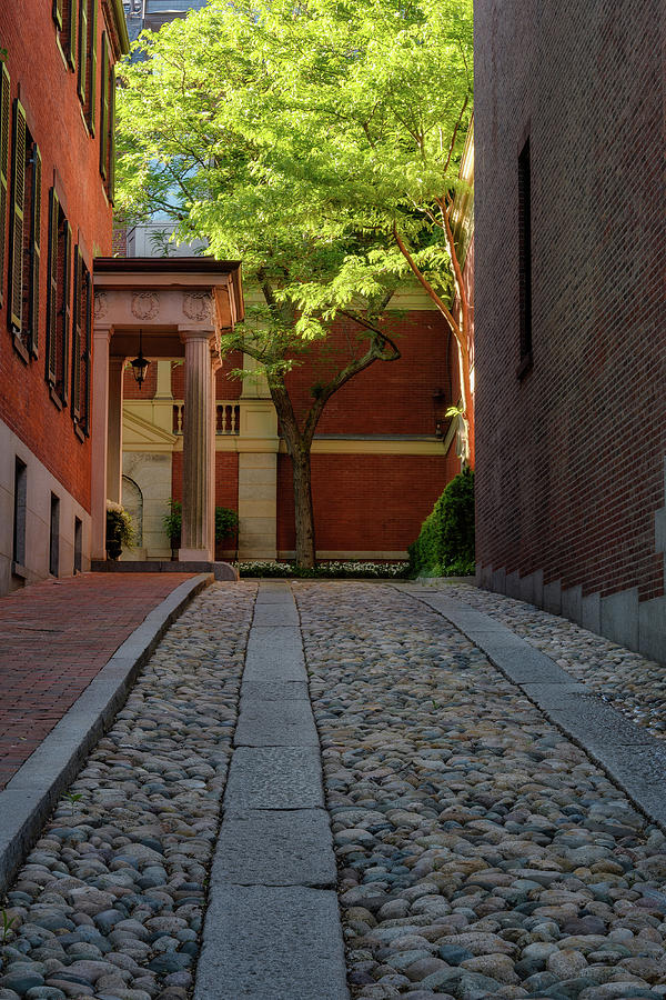 Cobblestone Drive by Michael Hubley Cobblestone Drive by Michael Hubley
