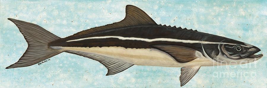 Cobia Painting by JoAnn Wheeler