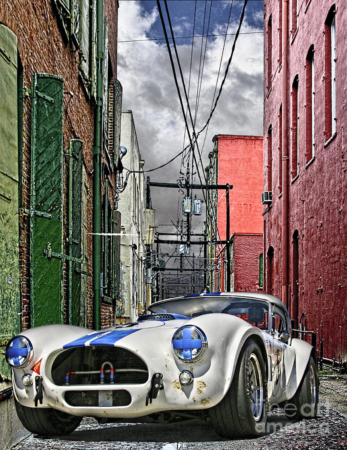 Cobra Alley Photograph by Tom Griffithe