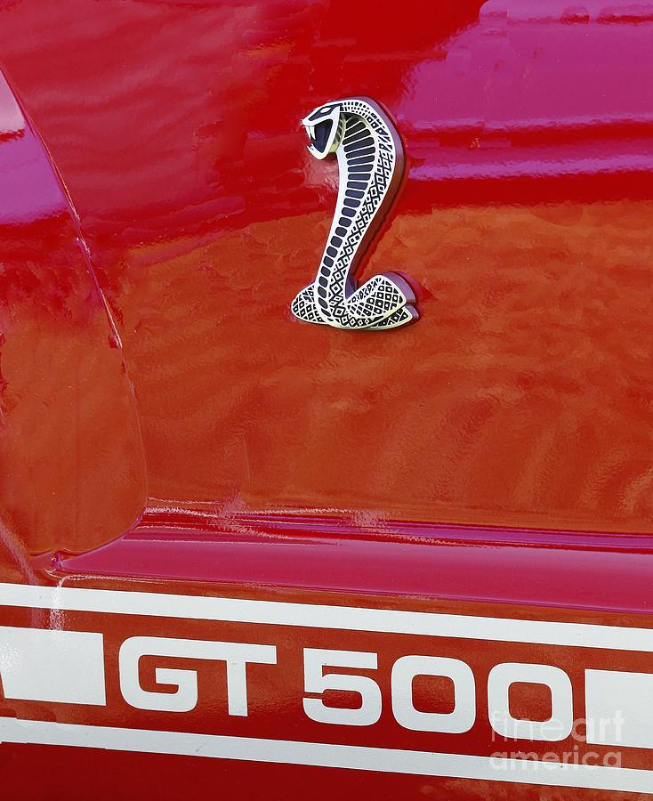 Cobra GT 500 Emblem Photograph by Richard Lynch