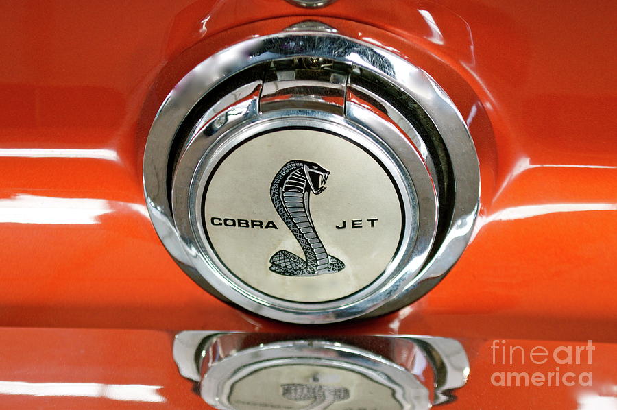 Cobra Jet Photograph