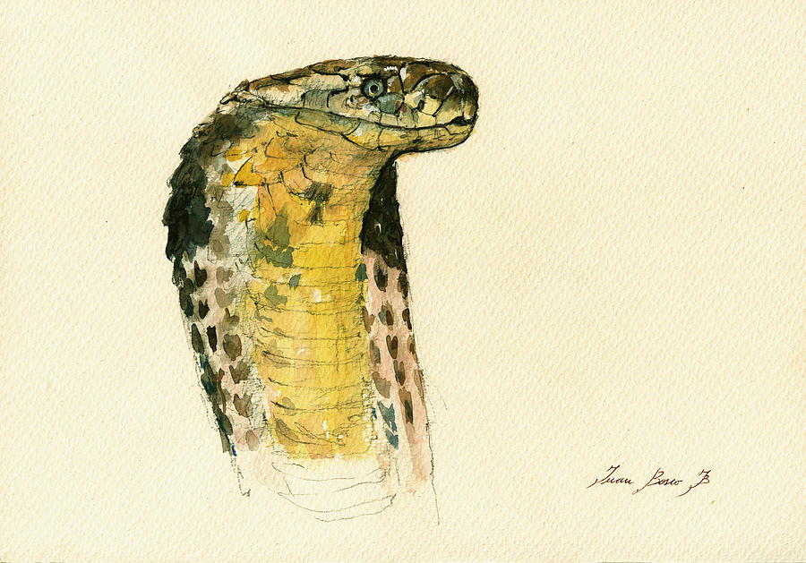 Cobra Snake Painting - Cobra snake poster by Juan  Bosco