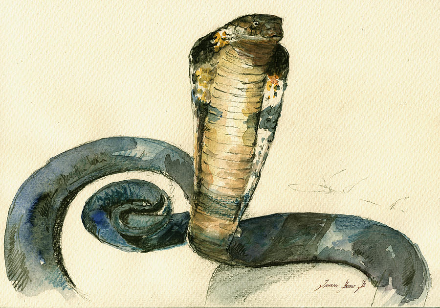 Cobra Snake Painting - Cobra Snake watercolor painting art wall by Juan  Bosco
