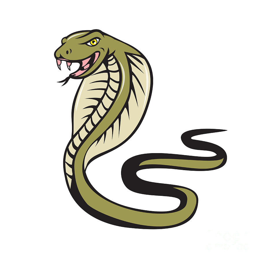 Cobra Viper Snake Attacking Cartoon Digital Art by Aloysius Patrimonio -  Fine Art America