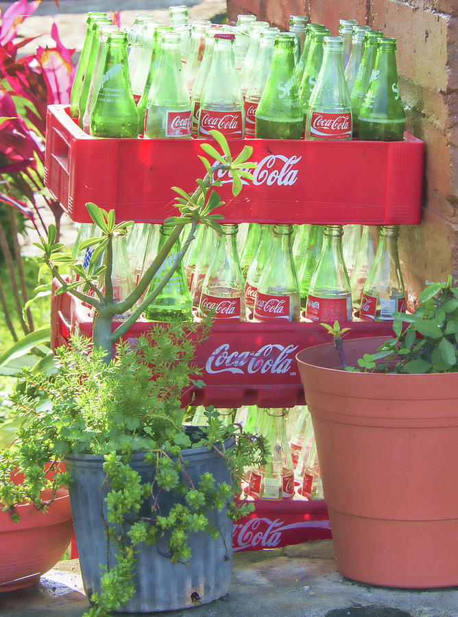 Coca-Cola Bottles Photograph by Bert Peake