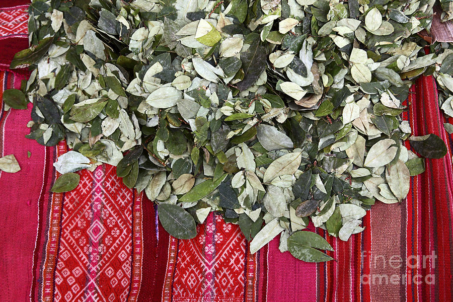 Coca Leaves and Weaving Photograph by James Brunker