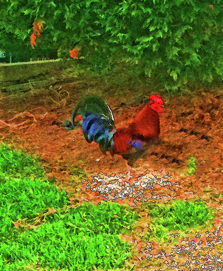 Cock A Doodle Doo Photograph By Jennifer Stackpole Fine Art America