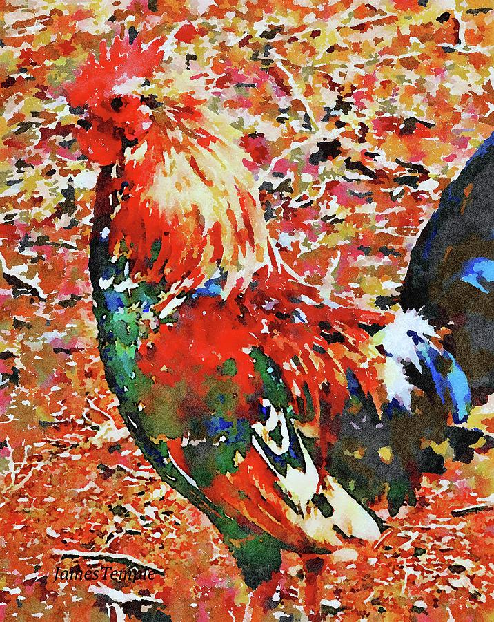 Cock Of The Walk Digital Art by James Temple
