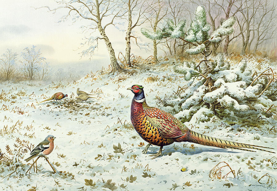 Cock Pheasant and Chaffinch Painting by Carl Donner