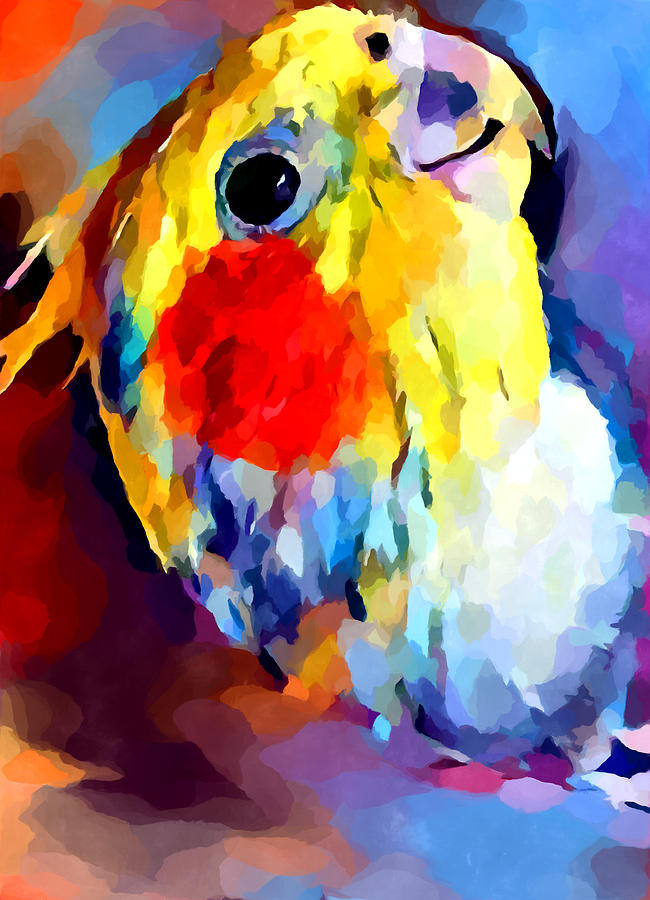 Parrot Painting - Cockatiel 2 by Chris Butler