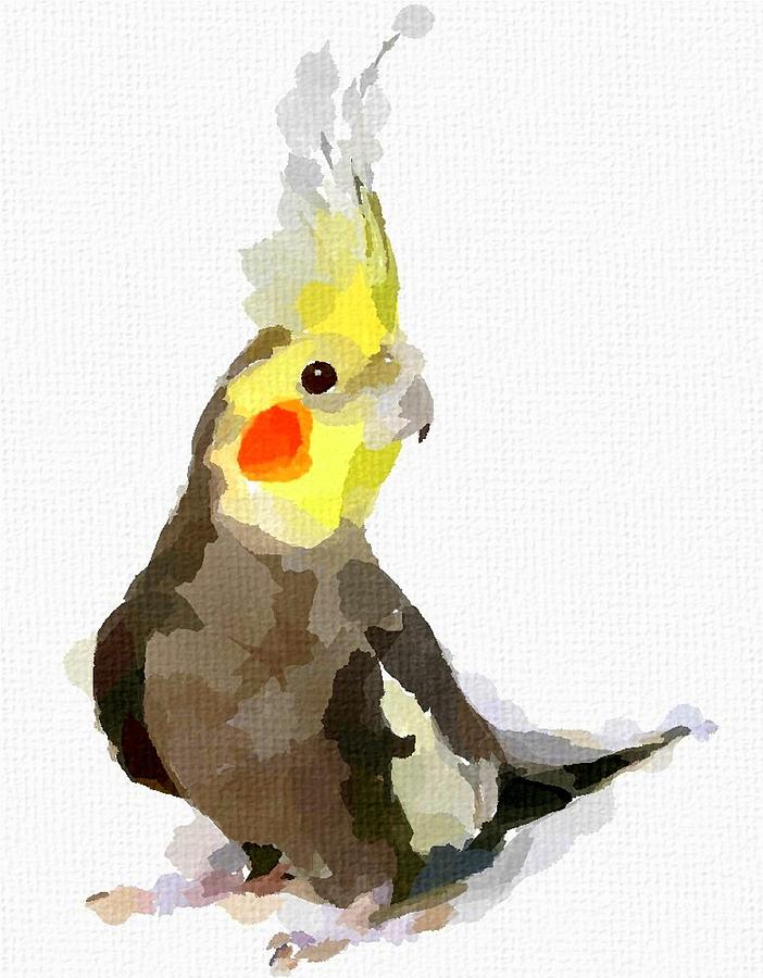 Cockatiel Painting by Chris Butler