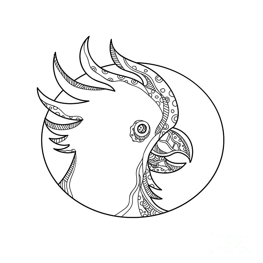 Cockatoo Digital Art - Cockatoo Head Circle Doodle Art by Aloysius Patrimonio