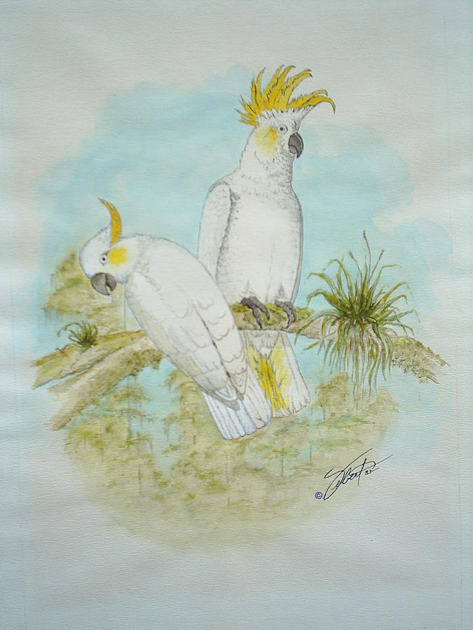 Bird Painting - Cockatoos by Dennis Vebert