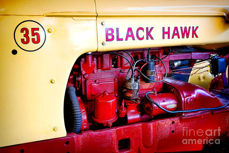 Cockshutt Black Hawk  Photograph by Olivier Le Queinec