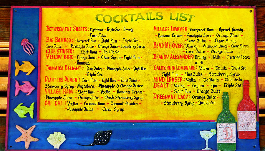 Cocktails List Photograph by Debbie Oppermann