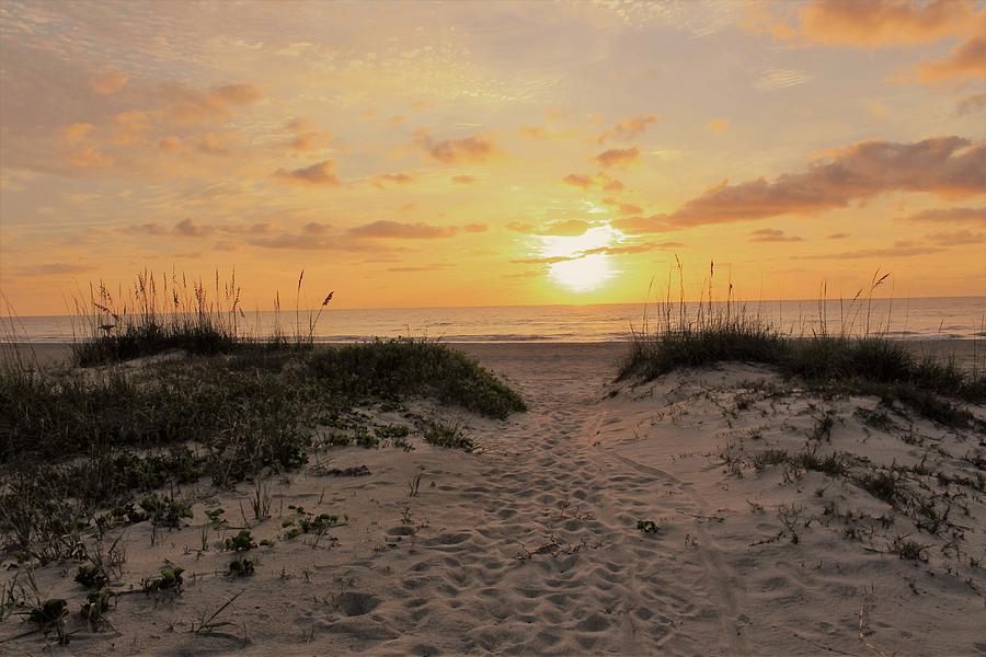 Cocoa Beach Morning Photograph by Mindy Newman