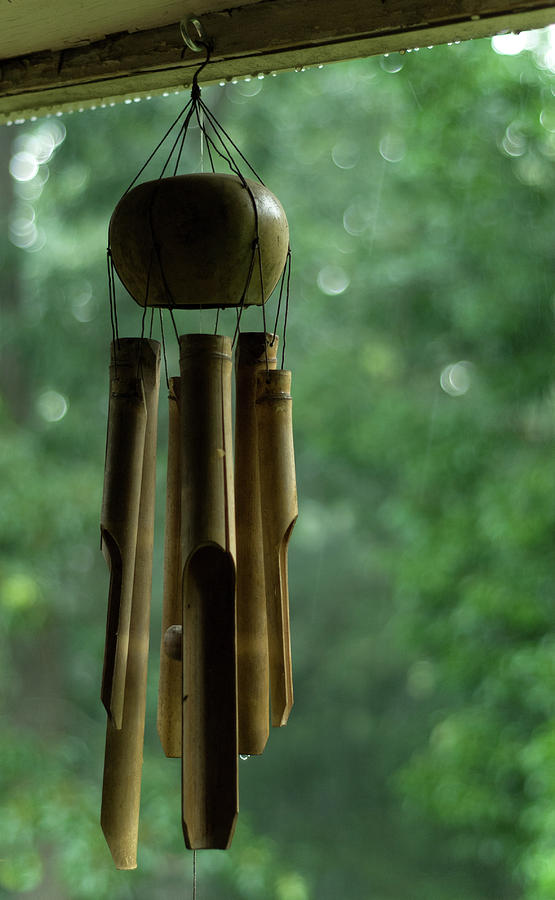 Coconut and Bamboo Wind Chime, Hunter Hill, Hagerstown, Maryland Photograph by James Oppenheim