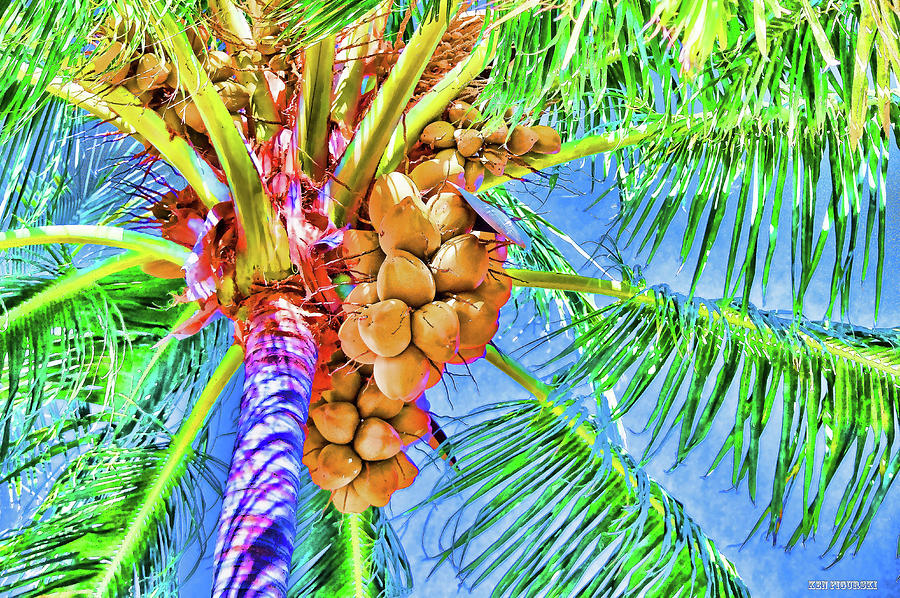Coconut Palm In Color Mixed Media by Ken Figurski