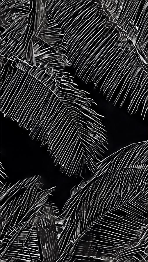 Coconut Palms in Black and White Photograph by Joalene Young