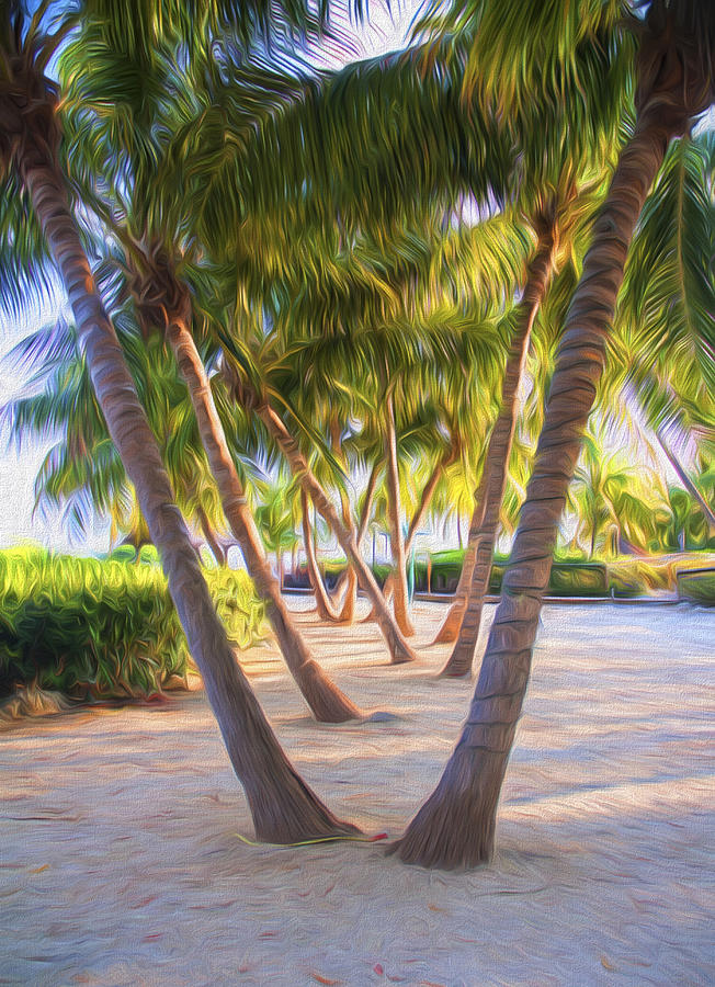 Coconut Palms Inn Beachfront Photograph by Ginger Wakem
