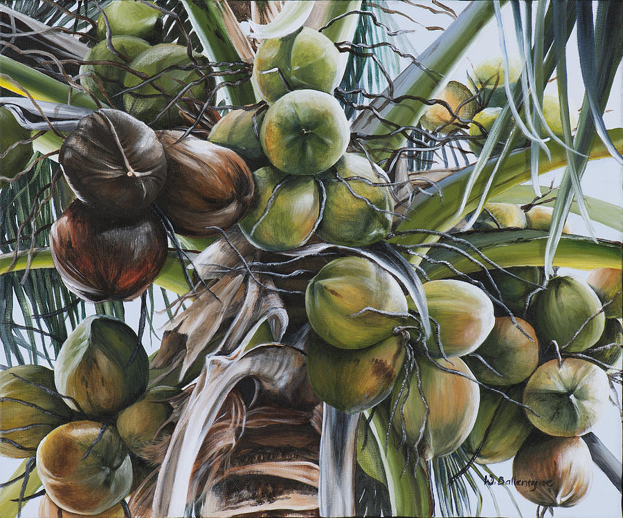 Coconut Profusion Painting by Wendy Ballentyne - Fine Art America