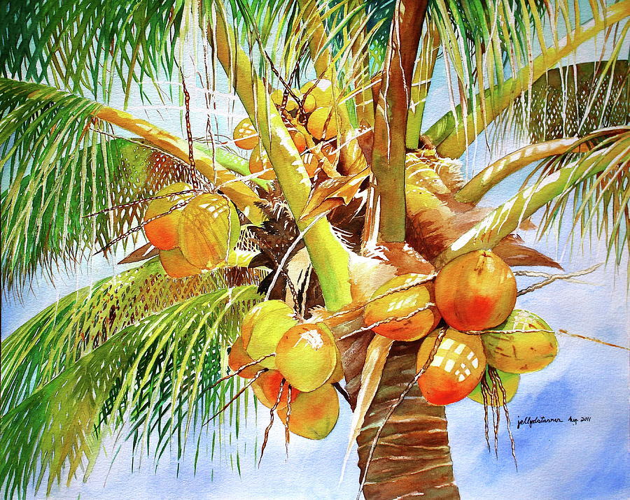 Coconut Painting - Coconut Tree by Jelly Starnes