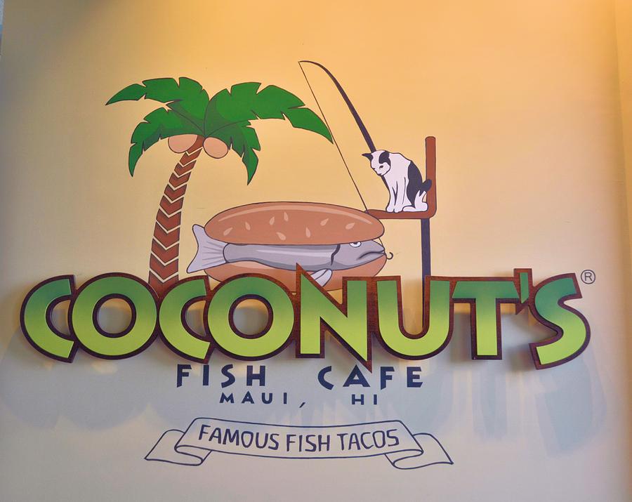 Coconut's Fish Cafe Photograph by Nancy Jenkins - Fine Art America