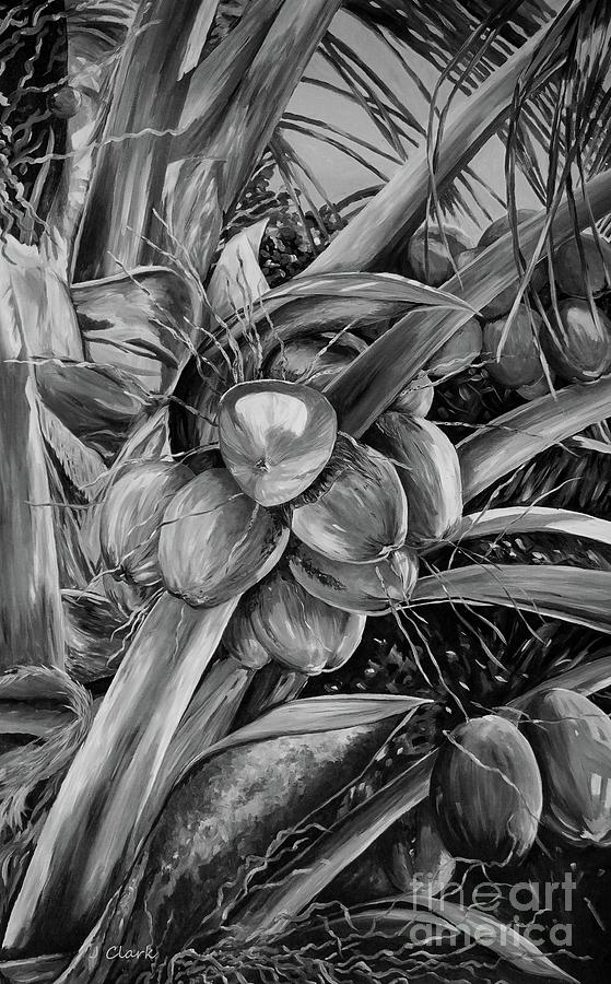 Coconuts In Black And White Painting