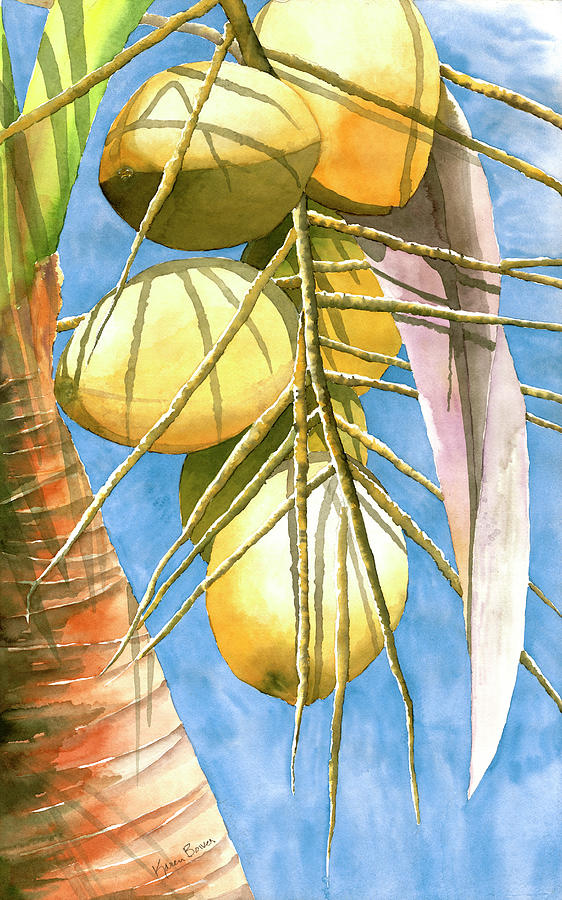 Coconuts Painting by Karen Bower - Fine Art America