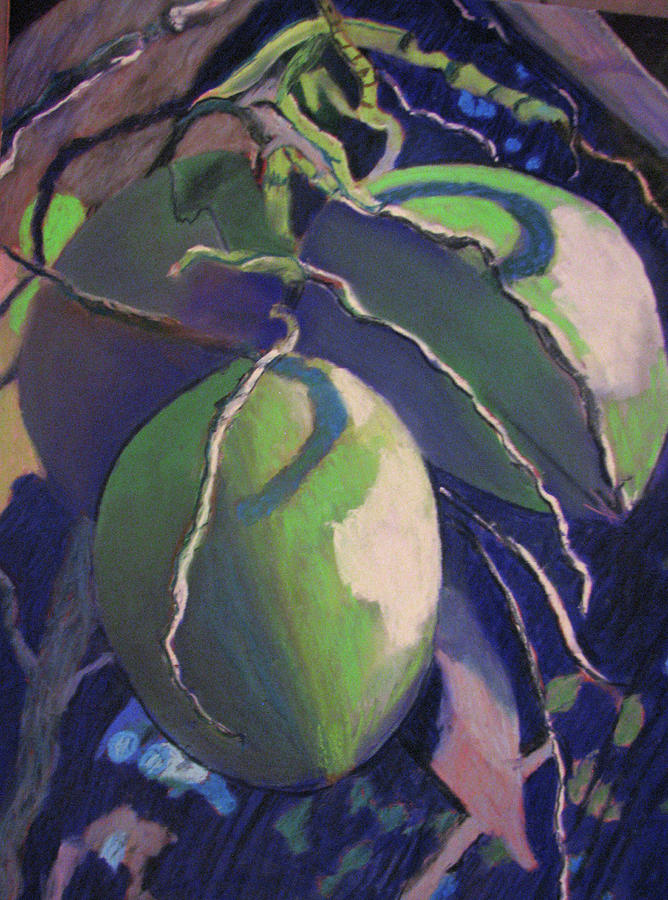 Coconut Painting - Coconuts by Marilyn Morningstar