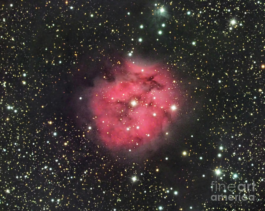 Cocoon Nebula IC5146 Photograph by David Watkins