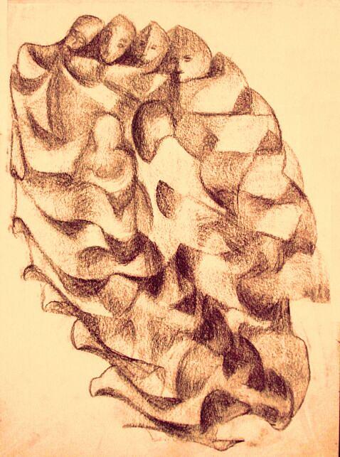 Cocoon Drawing by Safoura Massoud