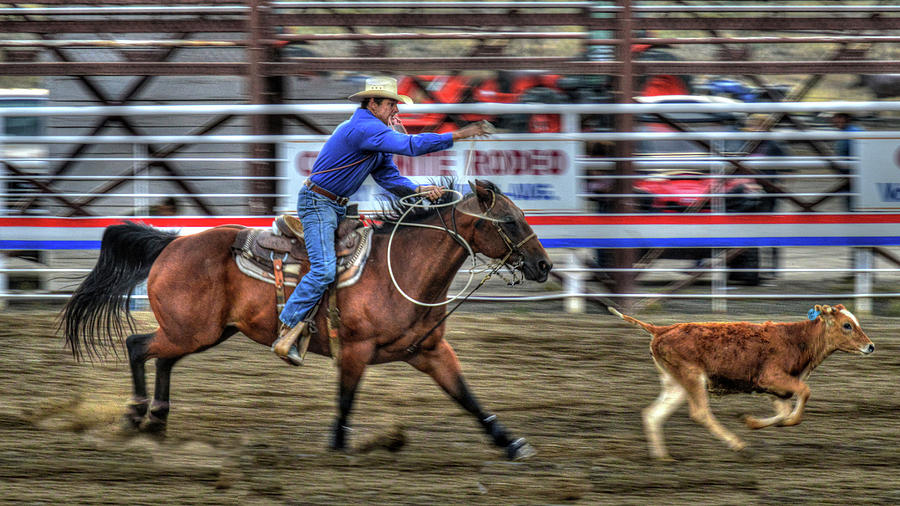 Cody Rodeo Montana USA Photograph by Paul James Bannerman