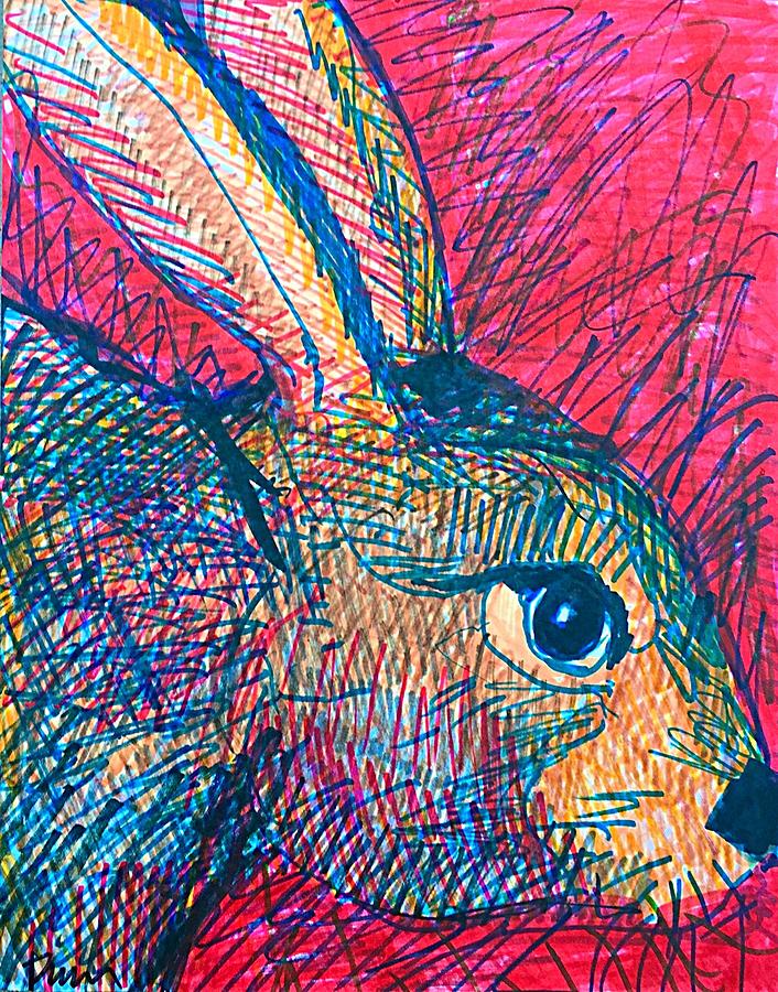 Wildlife Drawing - Codys Critters - Backyard Bunny by George Frayne