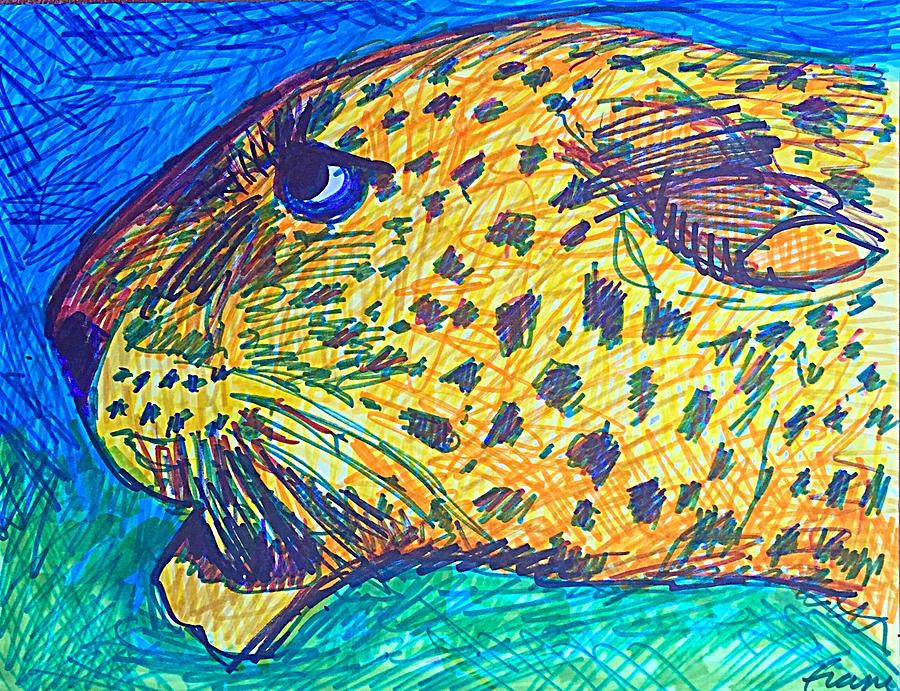 Wildlife Drawing - Codys Critters - Louie the Leopard by George Frayne