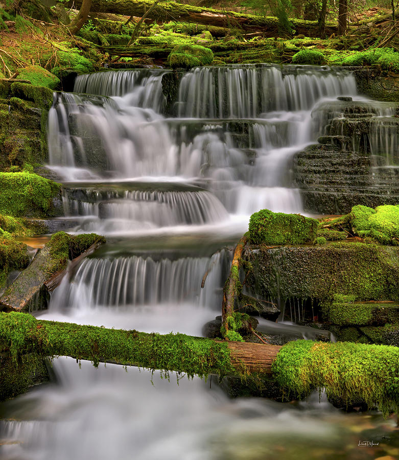 Coeur d Alene Forest Waterfall Photograph by Leland D Howard