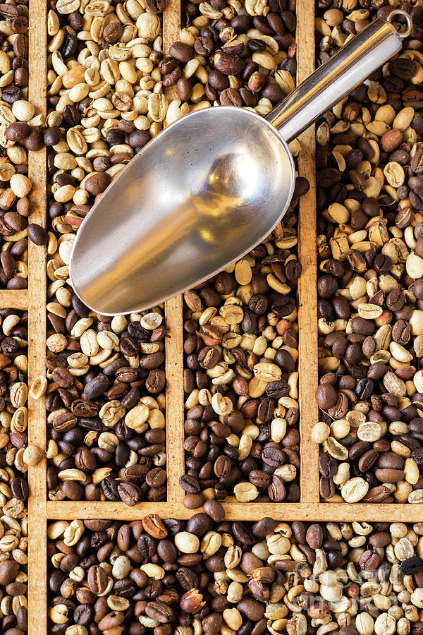 Coffee Beans 06 Photograph by Rick Piper Photography