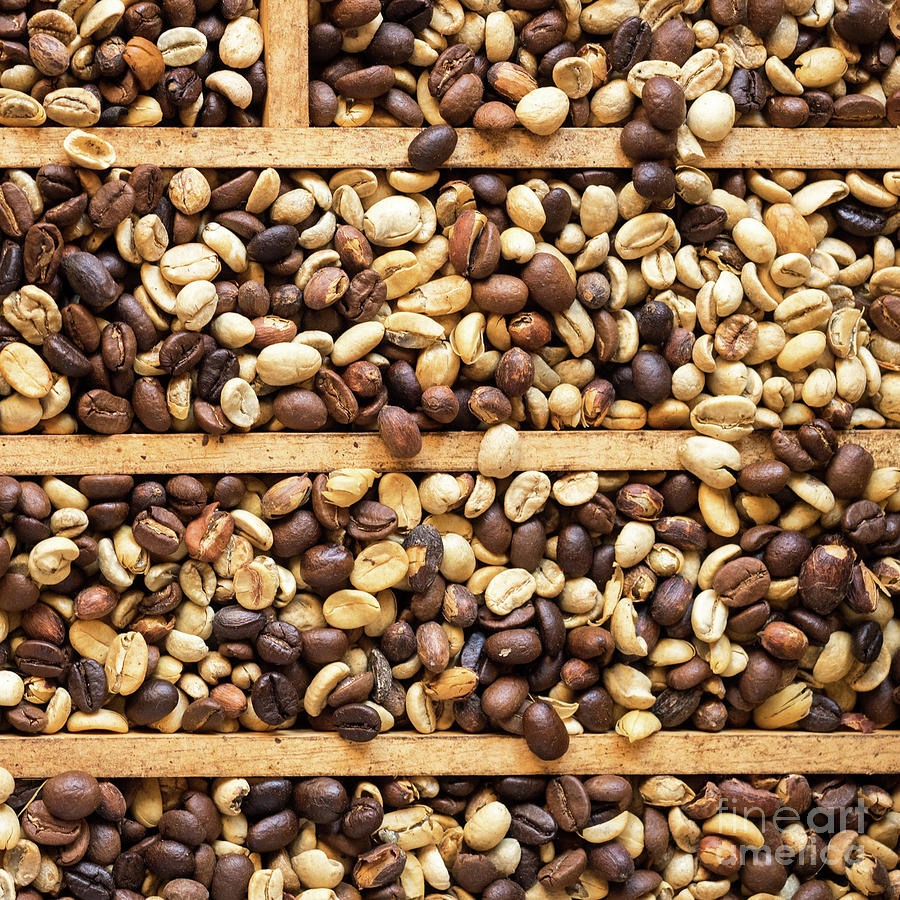 Coffee Beans 13 Photograph by Rick Piper Photography