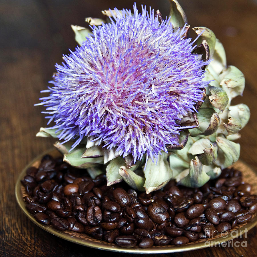 Coffee Beans and Blue Artichoke Photograph by Silva Wischeropp