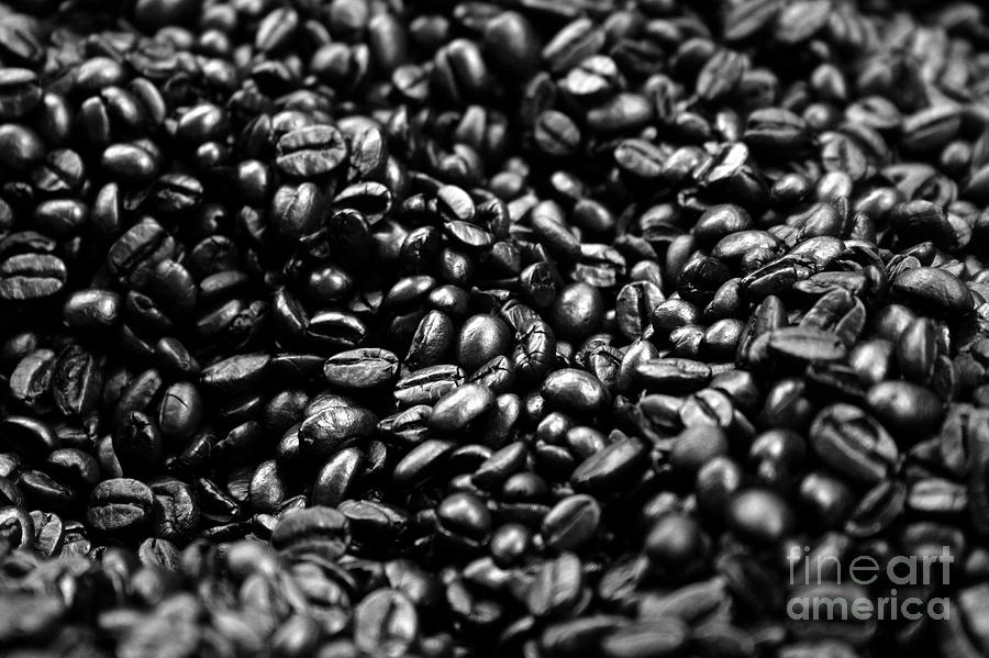 Coffee Beans BW Photograph by Balanced Art