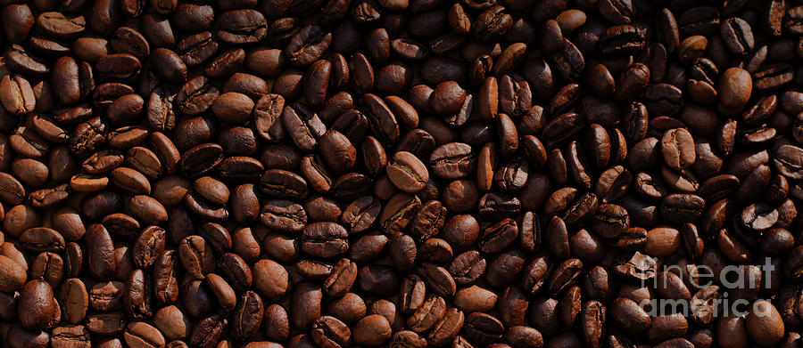 Coffee Beans Mug Photograph by Edward Fielding