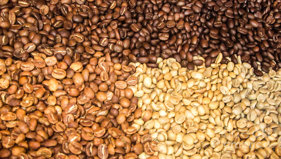 Coffee Beans Photograph by Suzanne Luft