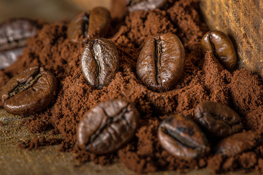 Coffee Beans Photograph