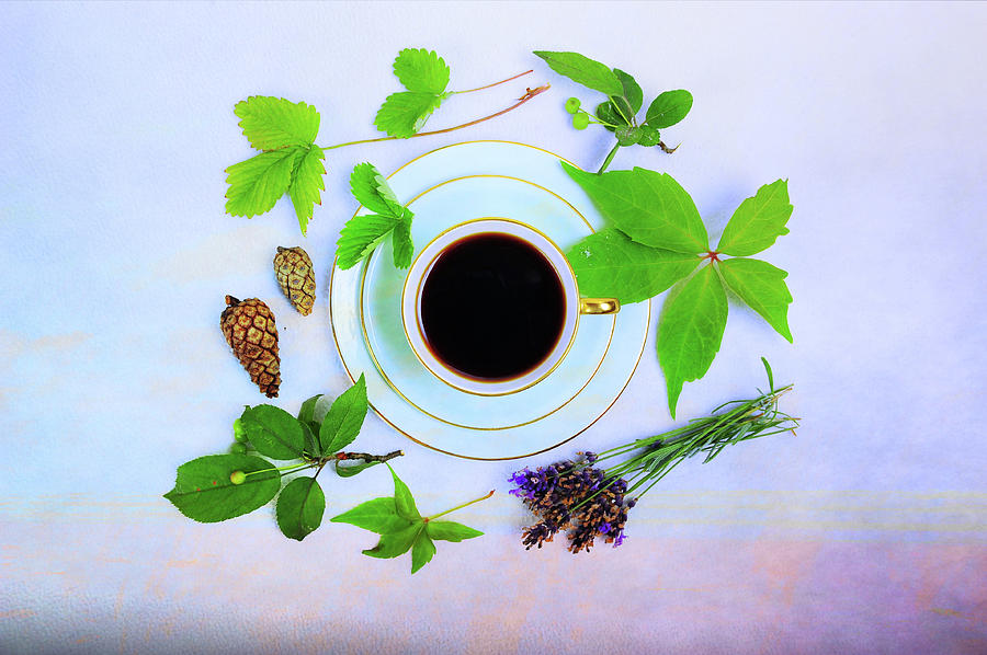 Coffee Delight Photograph by Randi Grace Nilsberg